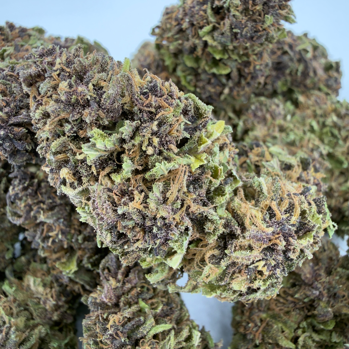KARIJINI KUSH - FLEUR DE CBD BIO