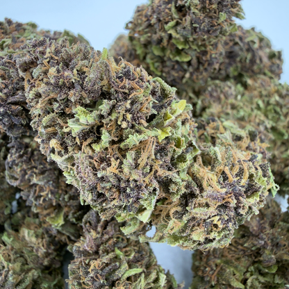 KARIJINI KUSH - FLEUR DE CBD BIO