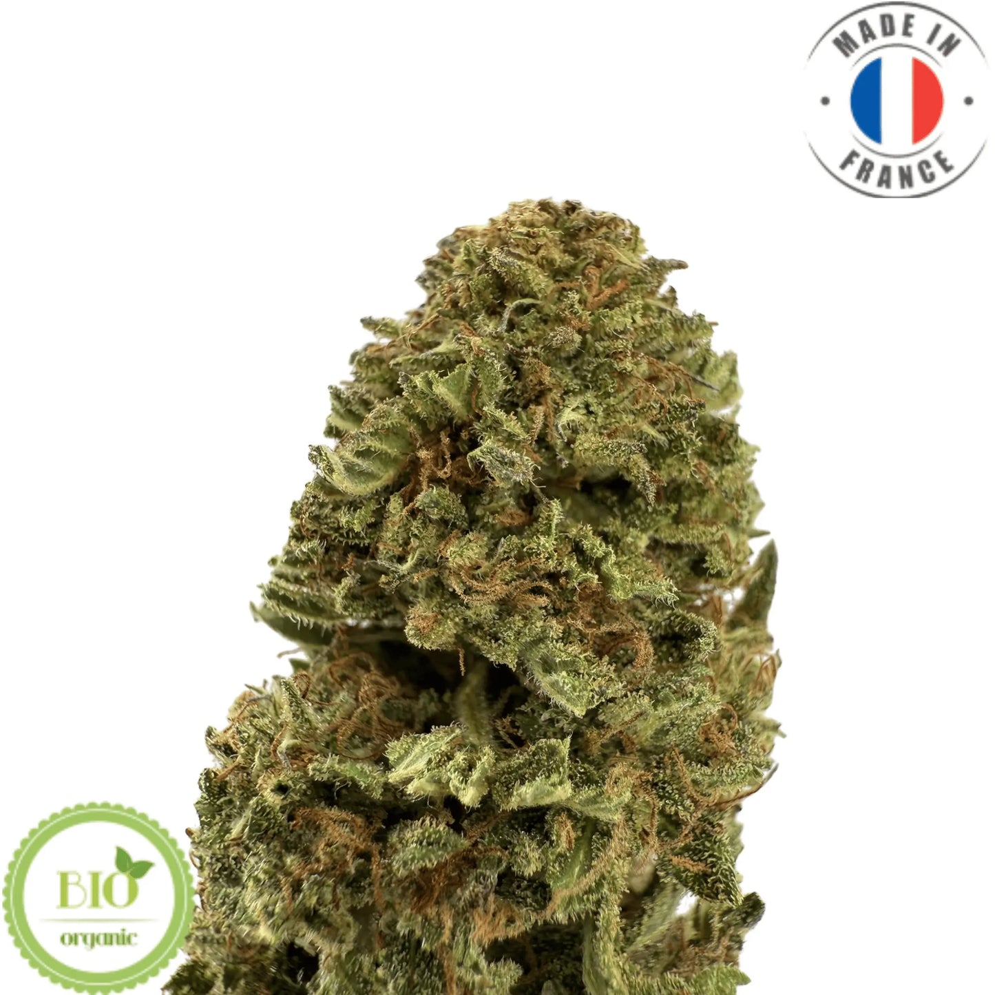 Legendary OG -Fleur de CBD bio (Amour de Chanvre)