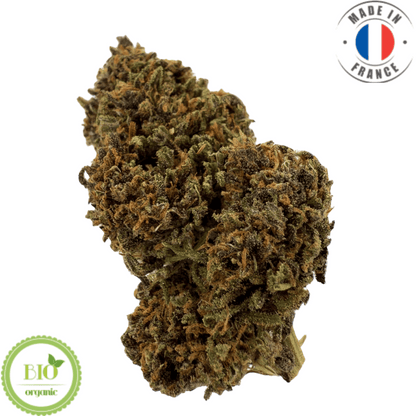 LEGENDARY PLATINUM OG - fleur de cbd bio (Les botanistes en herbe)