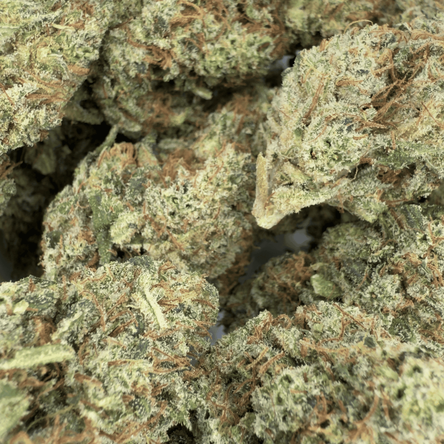 LEMENTOS - FLEUR DE CBD BIO - LIGHT DEP
