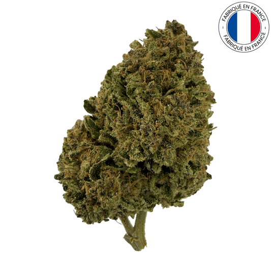 Lemon Kush - Fleur de CBD bio (Amour de Chanvre)