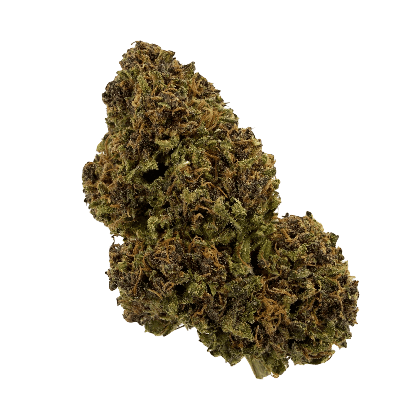 LEMON KUSH - FLEUR DE CBD BIO