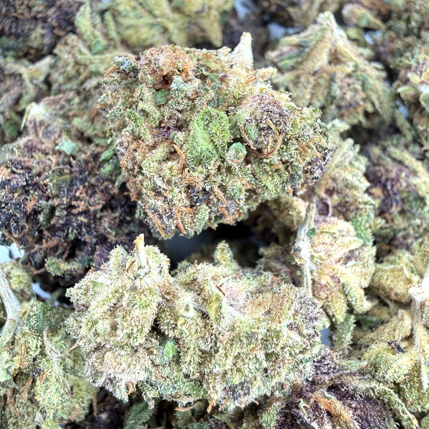 CAP ESTUAIRE – PETITES FLEURS DE CBD BIO