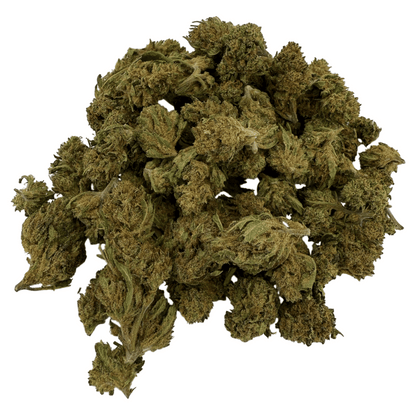 LEMON PIE - PETITE FLEUR DE CBD BIO