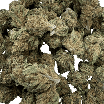LEMON PIE - PETITE FLEUR DE CBD BIO