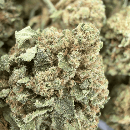 MANDARINA - PETITE FLEUR DE CBD ORGANIQUE