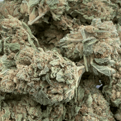 MANDARINA - PETITE FLEUR DE CBD ORGANIQUE