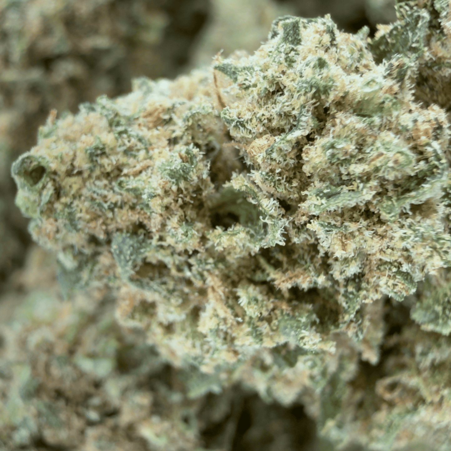 MANDARINA - PETITE FLEUR DE CBD ORGANIQUE