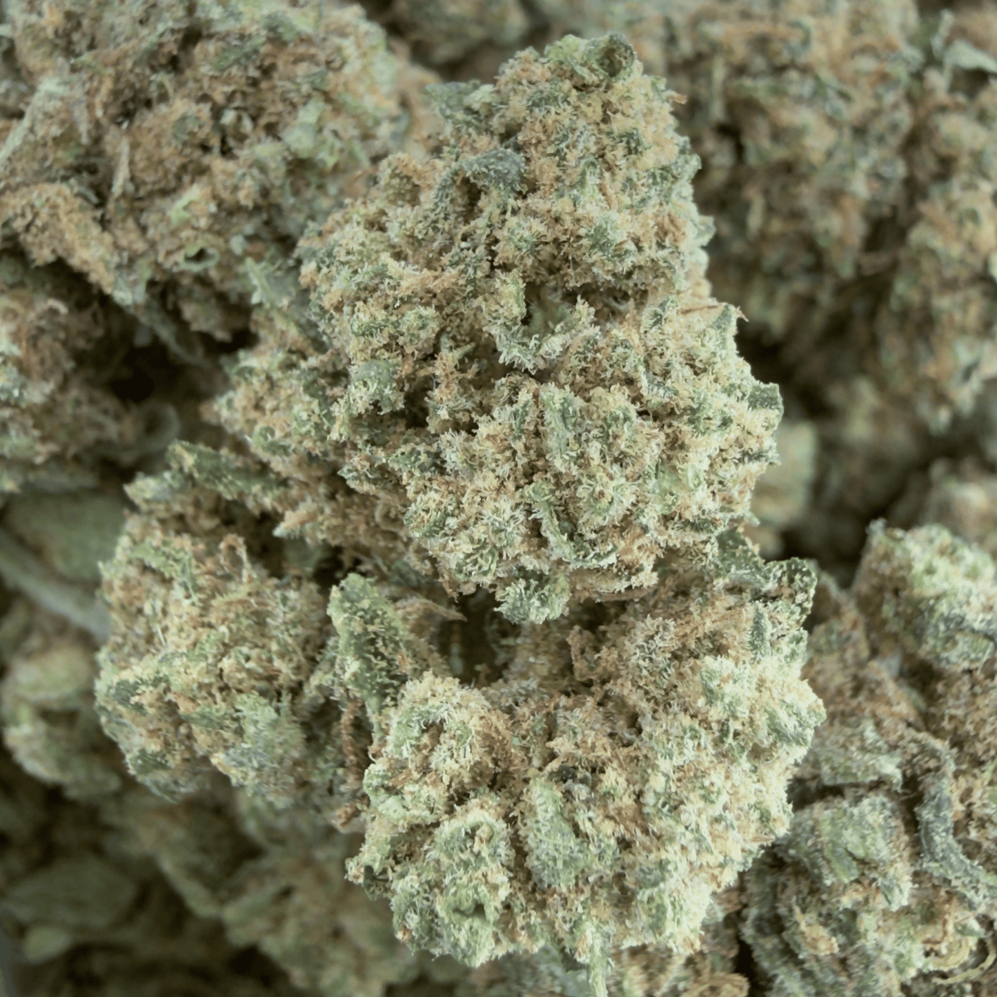 MANDARINA - PETITE FLEUR DE CBD ORGANIQUE