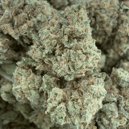 MANDARINA - PETITE FLEUR DE CBD ORGANIQUE