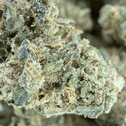 MANDARINA - PETITE FLEUR DE CBD ORGANIQUE