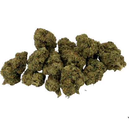 MANGO - FLEUR DE CBD BIO