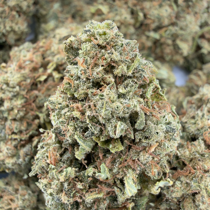 MANGO - FLEUR DE CBD BIO