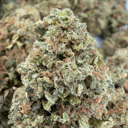 MANGO - FLEUR DE CBD BIO