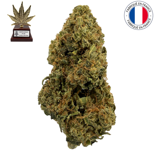 Mango - Fleur de CBD bio (Amour de Chanvre)