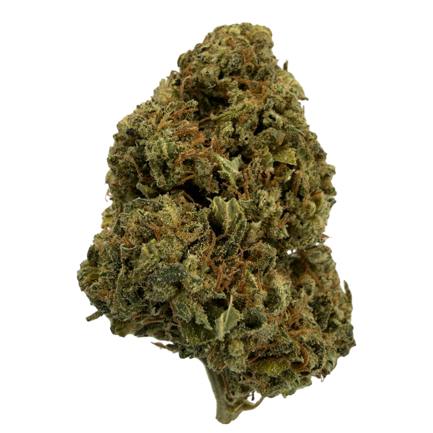 MANGO - FLEUR DE CBD BIO