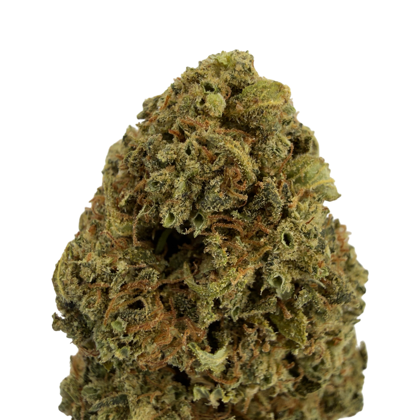 MANGO - FLEUR DE CBD BIO