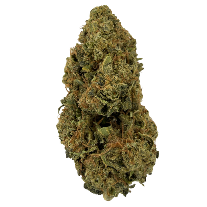 MANGO - FLEUR DE CBD BIO