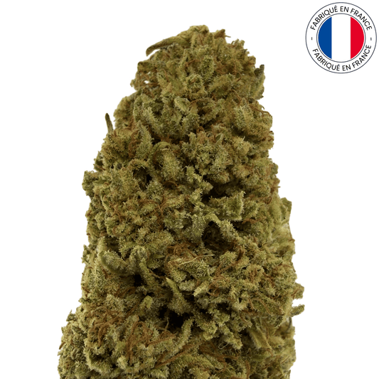 Mango Haze - Fleur de CBD bio (Amour de Chanvre)