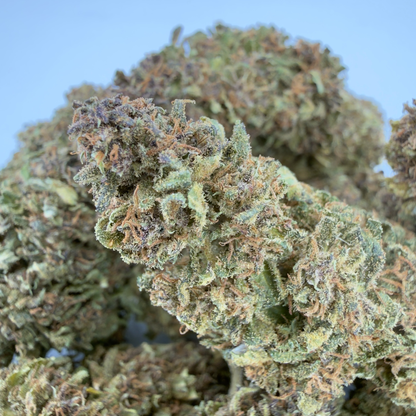 MAZZAL KUSH - FLOR DE CBD ORGÁNICO
