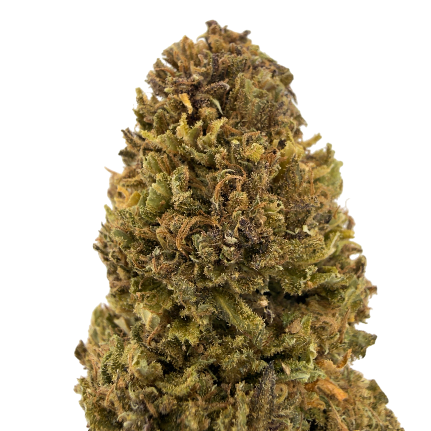 MAZZAL KUSH - FLOR DE CBD ORGÁNICO