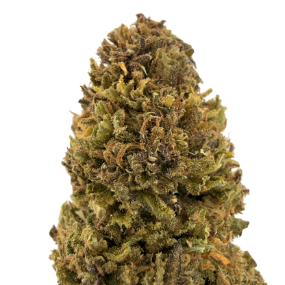 MAZZAL KUSH - FLOR DE CBD ORGÁNICO