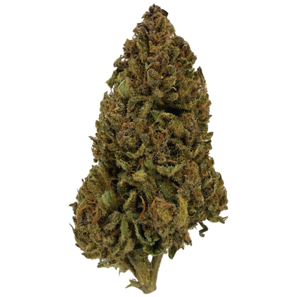 MAZZAL KUSH - FLOR DE CBD ORGÁNICO