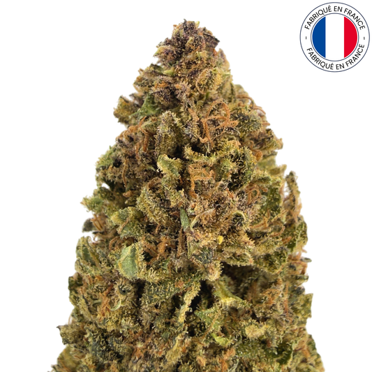 Mazzal Kush - Fleur de CBD organique (Amour de Chanvre)