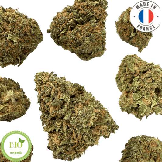 OG KUSH - Petite fleur de CBD bio (Amour de Chanvre)