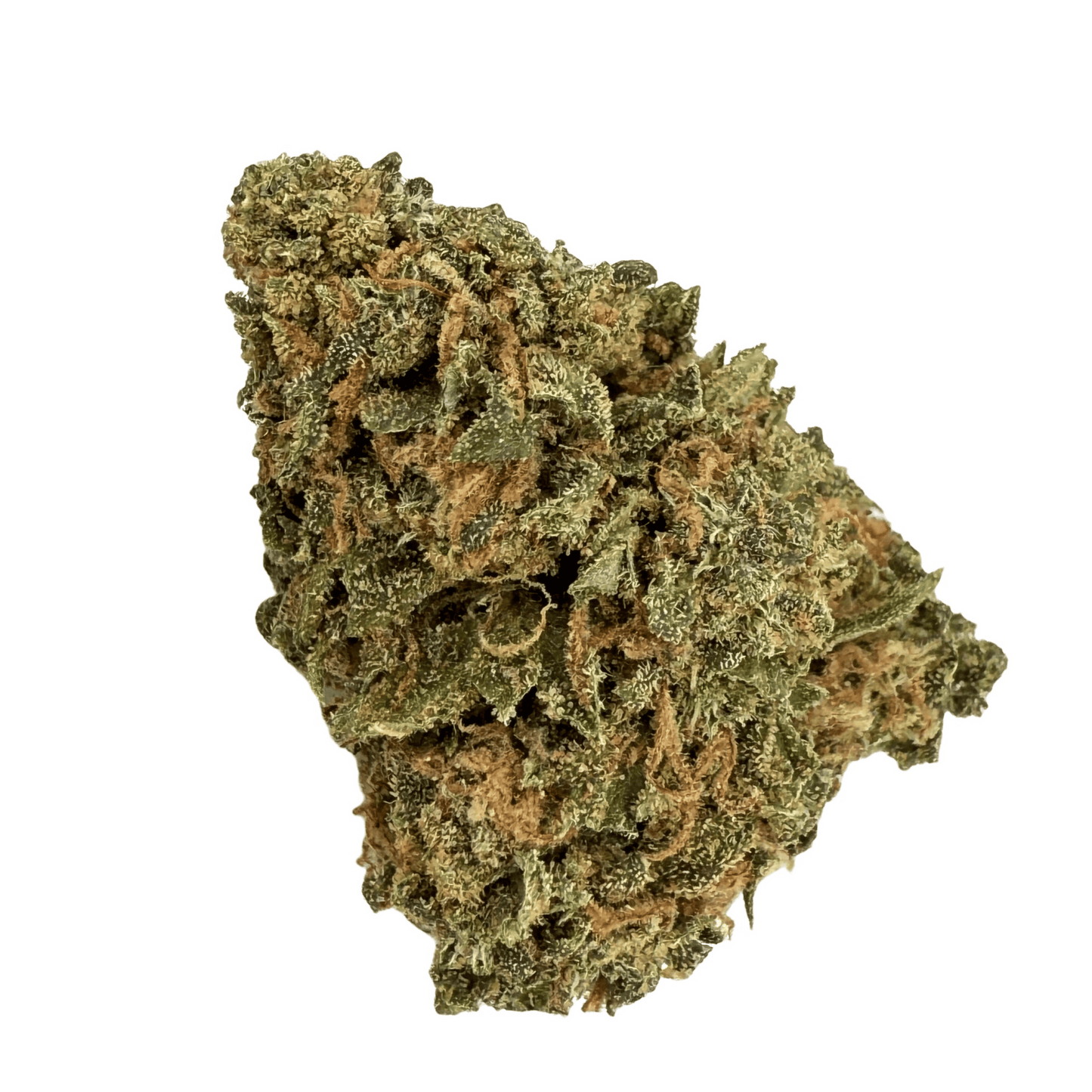 OG KUSH - PETITE FLEUR DE CBD BIO