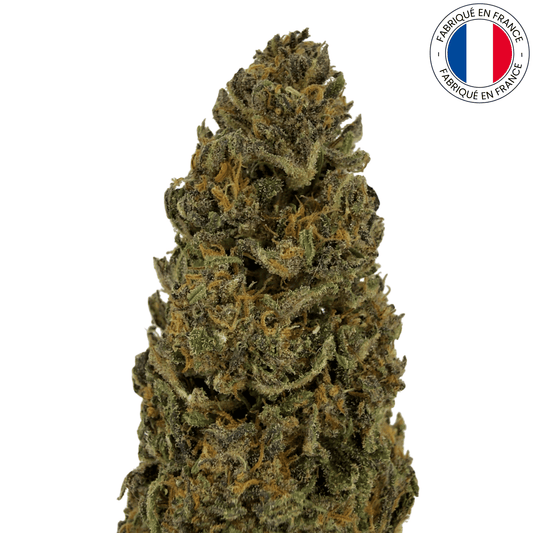 Orange Fritter - fleur de cbd bio (Amour de Chanvre)