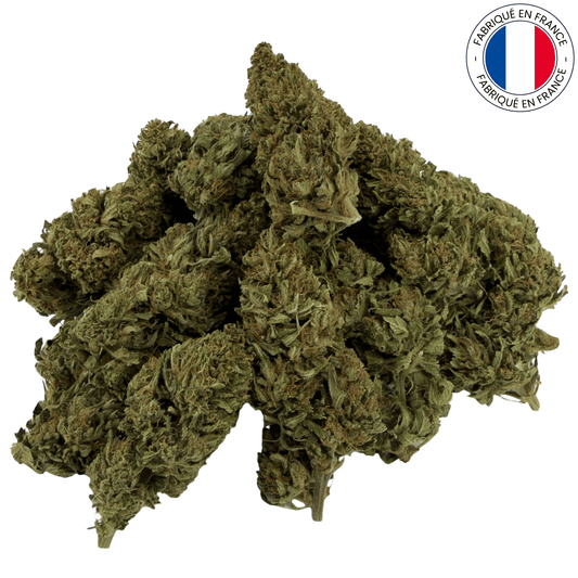 Oregon sweetgum - fleur de cbd bio (Amour de Chanvre)