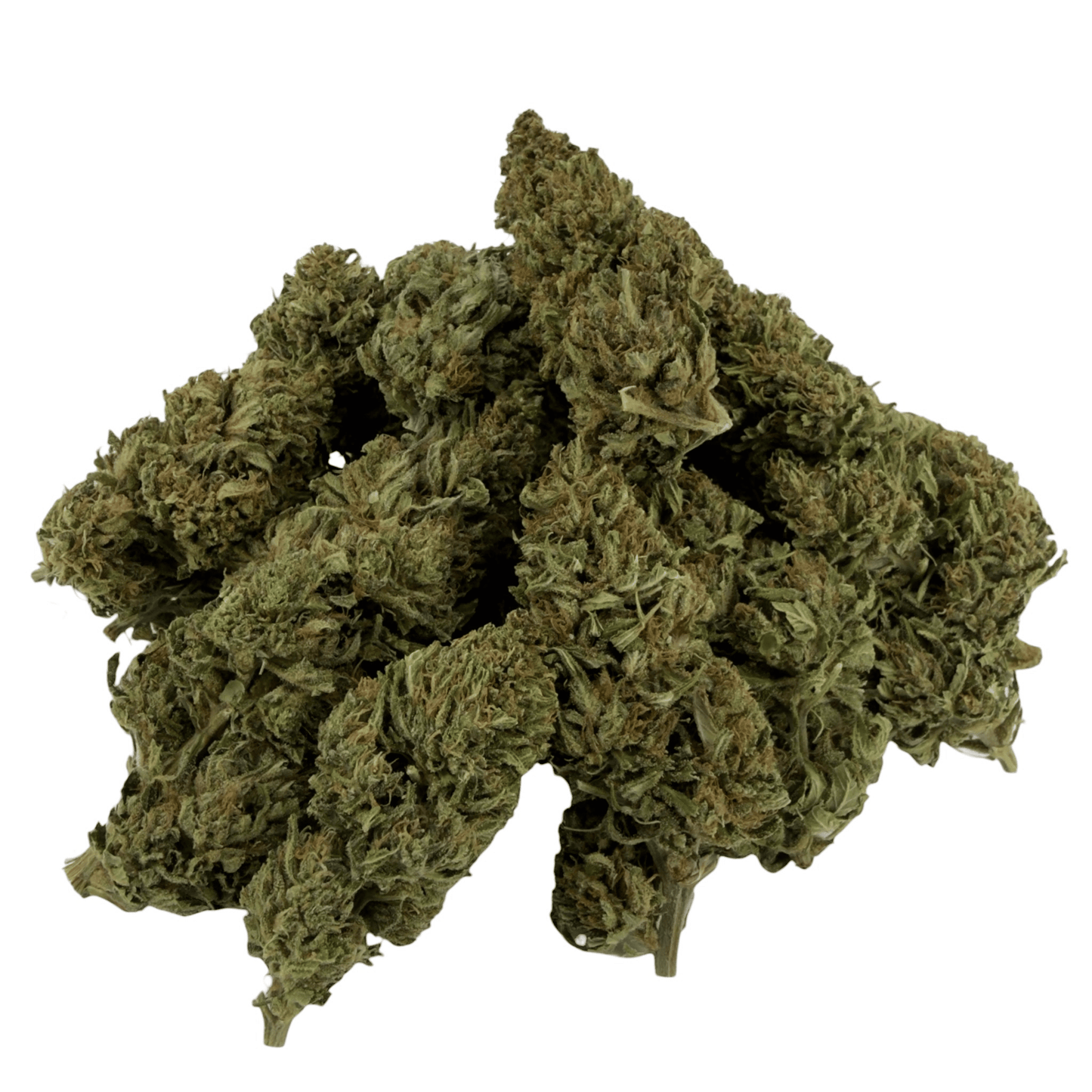 OREGON SWEETGUM - FLEUR DE CBD BIO