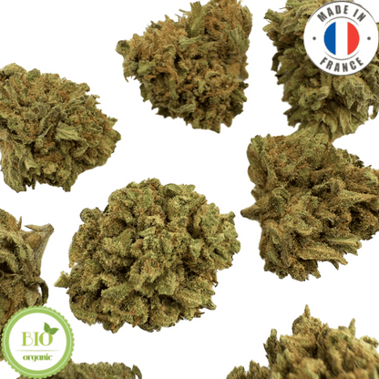 PEACH OZZ - Petite fleur de CBD bio (Amour de Chanvre)