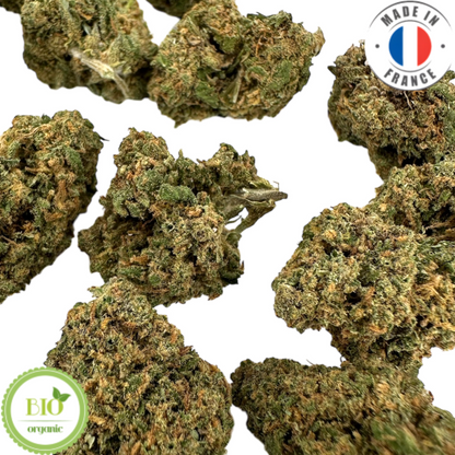 AMNESIA - Petite fleur de CBD bio (Amour de Chanvre)