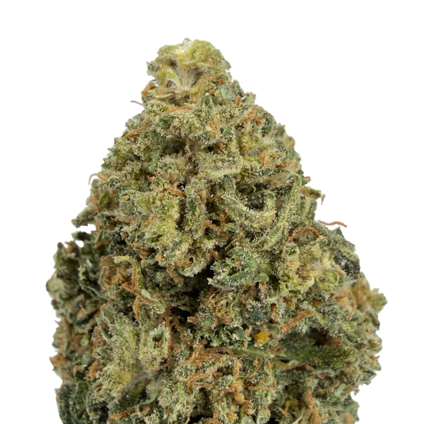 PINK LEMONADE - FLEUR DE CBD BIO