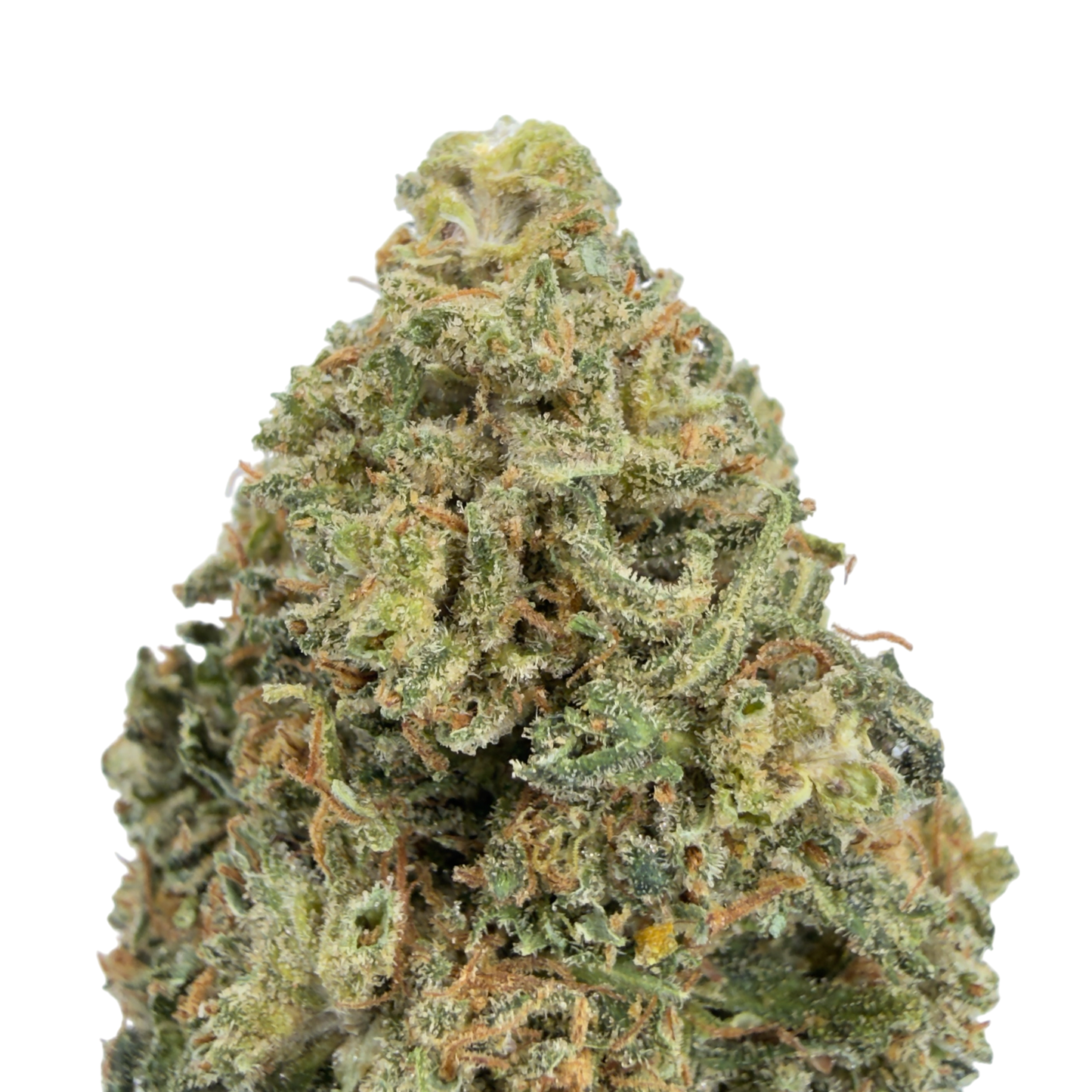 PINK LEMONADE - FLEUR DE CBD BIO