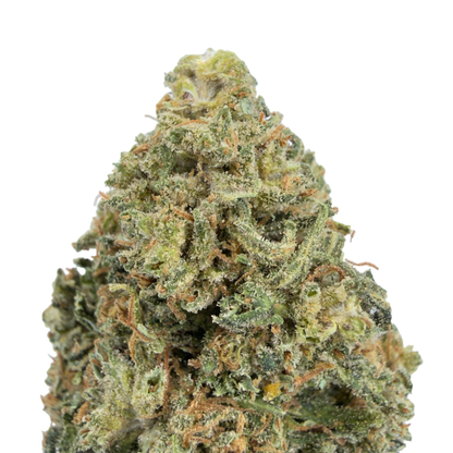 PINK LEMONADE - FLEUR DE CBD BIO