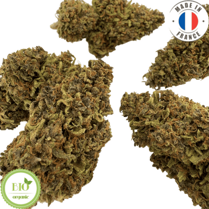 PINK PINEAPPLE - fleur de cbd bio (Les botanistes en herbe)