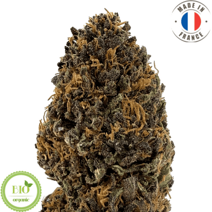 PLATINUM PANTHER - fleur de cbd bio (Les botanistes en herbe)