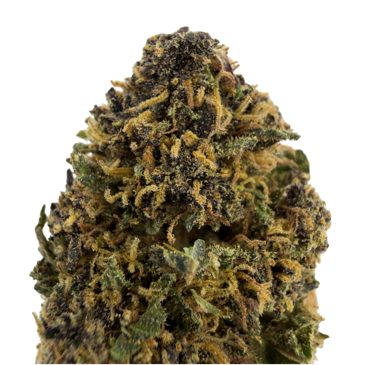 PLATINUM PANTHER - FLEUR DE CBD BIO