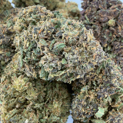 PLATINUM PANTHER - FLEUR DE CBD BIO