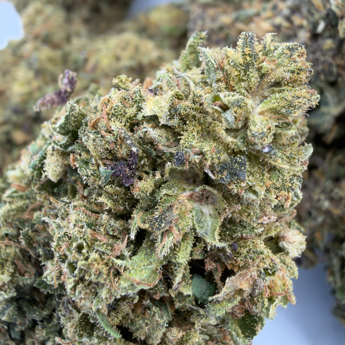 PLATINUM PANTHER - FLEUR DE CBD BIO