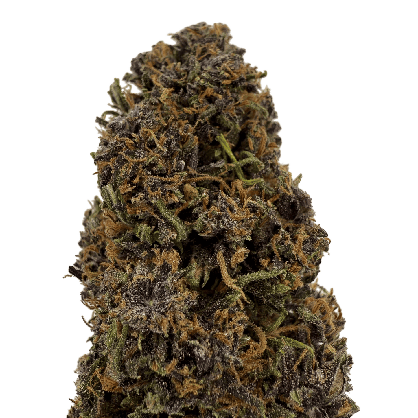 PLOOKIES - FLEUR DE CBD BIO - LIGHT DEP