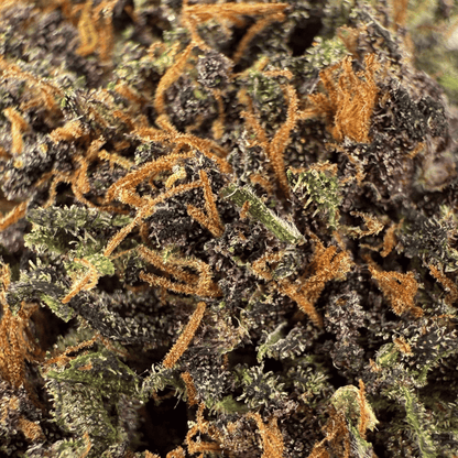 PLOOKIES - FLEUR DE CBD BIO - LIGHT DEP