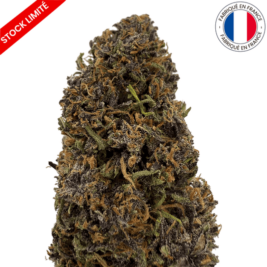 Plookies - Fleur de CBD - Light Dep -(Amour de Chanvre)