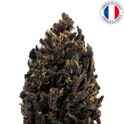 Purple Punch - Fleur de CBD organique (Amour de Chanvre)