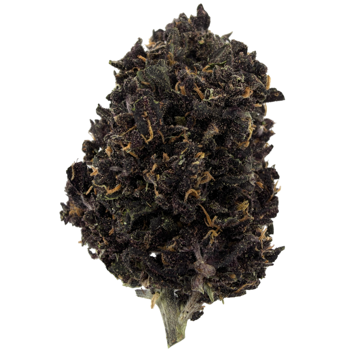 PURPLE PUNCH - FLEUR DE CBD BIO