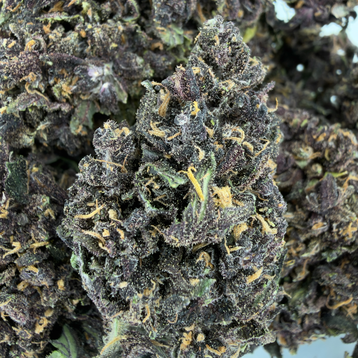 PURPLE PUNCH - FLEUR DE CBD BIO